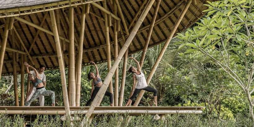 Ubud: Wellness Retreat with Massage, Yoga Class, and Lunch - Key points at a glance