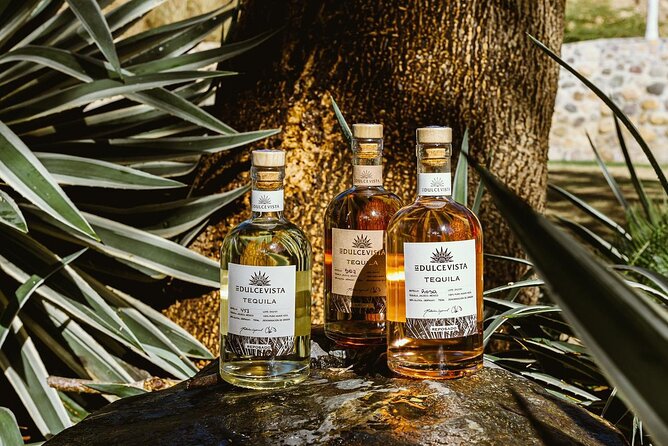 Volcanic Hot Springs, Foot Massage, Tequila & Mex BBQ - A five-hour day with a clear rhythm