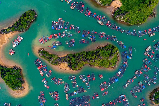Wellness Detox Journey In Vietnam - A week that mixes city energy with quiet wellness