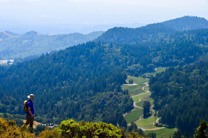 Wine & Wellness Tour in Napa Valley - Why This Napa Tour Feels Different