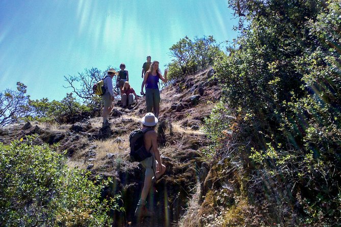 Wine & Wellness Tour in Napa Valley - Bell Wine Cellars and the Second Tasting