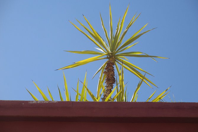 Yoga and Wellness Half-Day in an Authentic Marrakech Riad - Practical Booking Advice for the Riad Morning