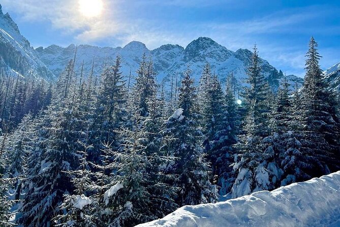 Zakopane Day Tour with Hotel Pick up and Optional Thermal Spa - A shepherd’s hut tasting in Witow