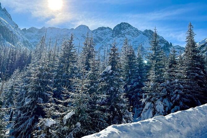 Zakopane Tour from Krakow with Thermal SPA and Hotel Pick up - Witow shepherd’s hut and regional cheese tasting